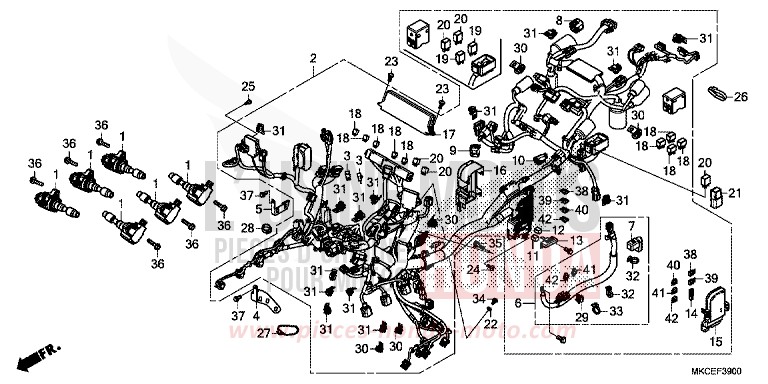 WIRE HARNESS for Gold Wing DARKNESS BLACK METALLIC (NH463) from 2019